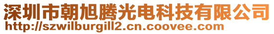 深圳市朝旭騰光電科技有限公司