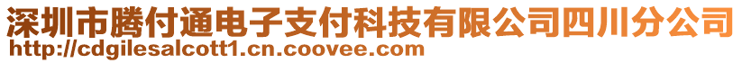 深圳市騰付通電子支付科技有限公司四川分公司