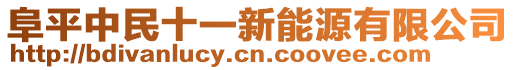 阜平中民十一新能源有限公司