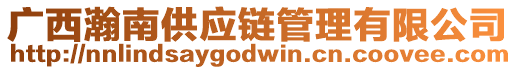 廣西瀚南供應(yīng)鏈管理有限公司