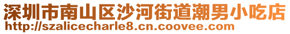 深圳市南山區(qū)沙河街道潮男小吃店