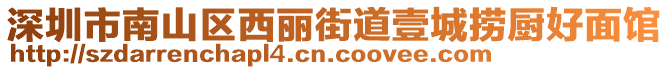 深圳市南山區西麗街道壹城撈廚好面館
