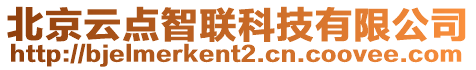 北京云點智聯(lián)科技有限公司