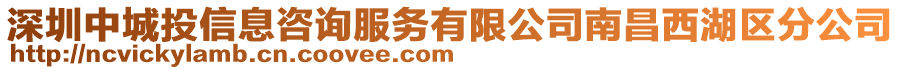 深圳中城投信息咨詢服務有限公司南昌西湖區(qū)分公司