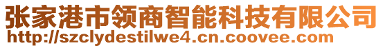 張家港市領(lǐng)商智能科技有限公司