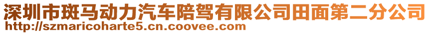 深圳市斑馬動(dòng)力汽車陪駕有限公司田面第二分公司