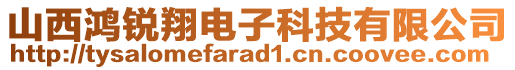 山西鴻銳翔電子科技有限公司