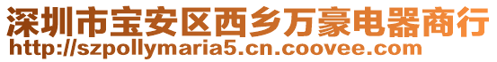 深圳市寶安區(qū)西鄉(xiāng)萬(wàn)豪電器商行