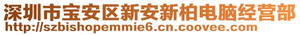 深圳市寶安區(qū)新安新柏電腦經(jīng)營(yíng)部