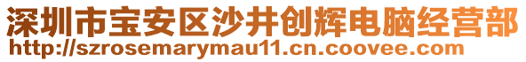 深圳市寶安區(qū)沙井創(chuàng)輝電腦經(jīng)營部