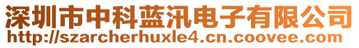 深圳市中科藍(lán)汛電子有限公司