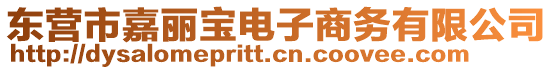 东营市嘉丽宝电子商务有限公司