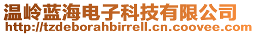 溫嶺藍(lán)海電子科技有限公司