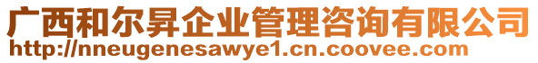 廣西和爾昇企業(yè)管理咨詢有限公司