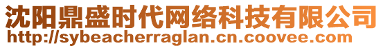 沈陽鼎盛時(shí)代網(wǎng)絡(luò)科技有限公司