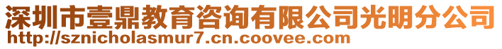 深圳市壹鼎教育咨詢有限公司光明分公司