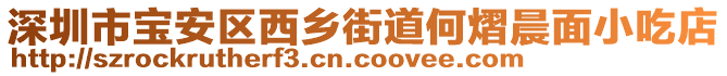 深圳市寶安區(qū)西鄉(xiāng)街道何熠晨面小吃店