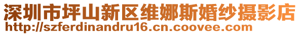 深圳市坪山新區(qū)維娜斯婚紗攝影店