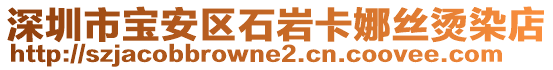 深圳市寶安區(qū)石巖卡娜絲燙染店