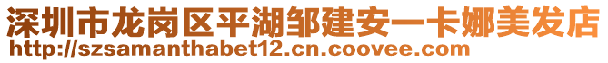 深圳市龍崗區(qū)平湖鄒建安一卡娜美發(fā)店