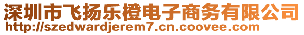 深圳市飛揚樂橙電子商務有限公司