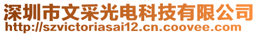 深圳市文采光電科技有限公司