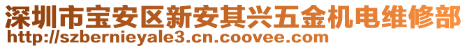 深圳市寶安區新安其興五金機電維修部