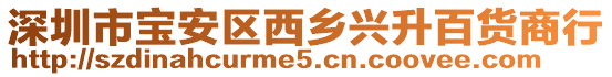 深圳市寶安區西鄉興升百貨商行