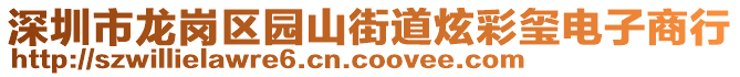 深圳市龍崗區(qū)園山街道炫彩璽電子商行