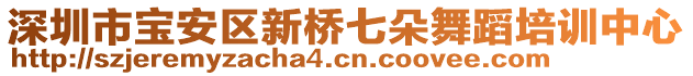 深圳市寶安區(qū)新橋七朵舞蹈培訓(xùn)中心