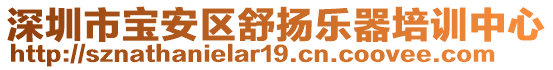 深圳市寶安區(qū)舒揚樂器培訓中心