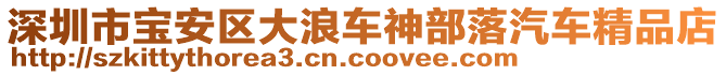 深圳市寶安區(qū)大浪車神部落汽車精品店