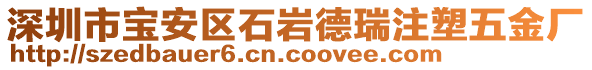 深圳市寶安區(qū)石巖德瑞注塑五金廠