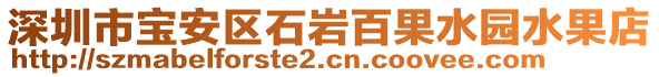 深圳市寶安區(qū)石巖百果水園水果店