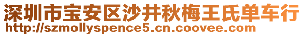 深圳市寶安區沙井秋梅王氏單車行