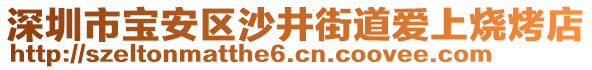 深圳市寶安區(qū)沙井街道愛上燒烤店