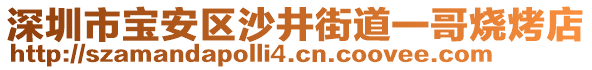 深圳市寶安區(qū)沙井街道一哥燒烤店