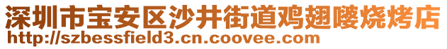 深圳市寶安區(qū)沙井街道雞翅嘙燒烤店