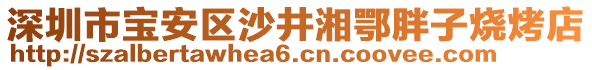 深圳市寶安區(qū)沙井湘鄂胖子燒烤店