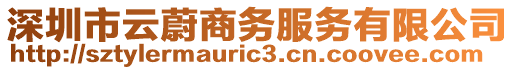 深圳市云蔚商務(wù)服務(wù)有限公司