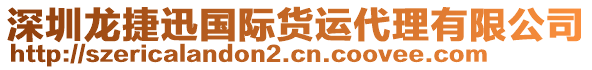 深圳龍捷迅國際貨運(yùn)代理有限公司