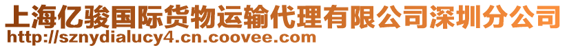 上海億駿國(guó)際貨物運(yùn)輸代理有限公司深圳分公司