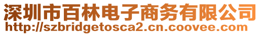 深圳市百林電子商務(wù)有限公司