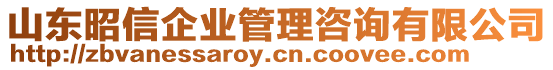 山東昭信企業(yè)管理咨詢有限公司