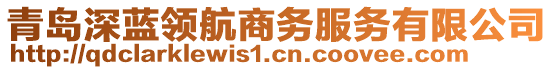 青岛深蓝领航商务服务有限公司