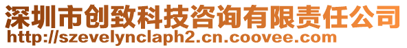 深圳市創(chuàng)致科技咨詢有限責(zé)任公司