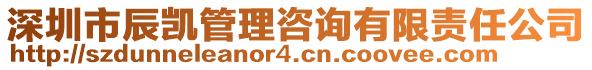 深圳市辰凱管理咨詢有限責任公司