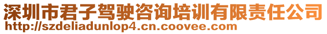 深圳市君子駕駛咨詢培訓(xùn)有限責(zé)任公司