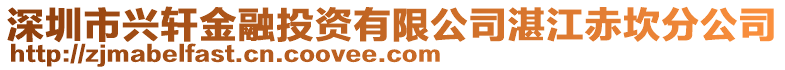 深圳市興軒金融投資有限公司湛江赤坎分公司