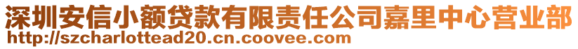 深圳安信小額貸款有限責任公司嘉里中心營業(yè)部